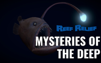 Mysteries of the Deep Sea