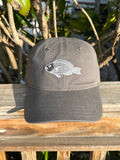 Embroidered Parrotfish Dad Hat