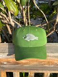 Embroidered Parrotfish Dad Hat