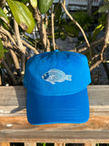 Embroidered Parrotfish Dad Hat
