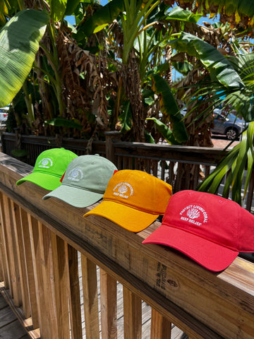 Protect Living Coral "Dad Hat"