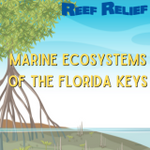 Marine Ecosystems of the Florida Keys