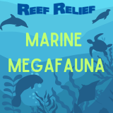 Marine Megafauna