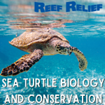 Sea Turtle Biology and Conservation