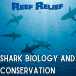 Shark Biology and Conservation